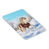Icelandic Pinto Winter Magnet (Rechte Seite)