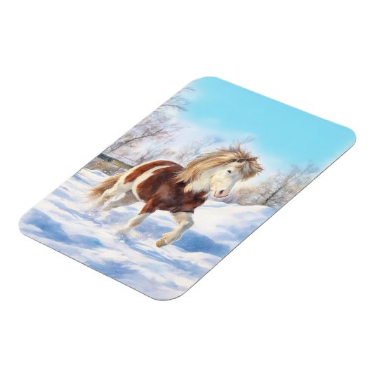 Icelandic Pinto Winter Magnet (Linke Seite)