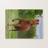 Icelandic Pony Runs Tölt Funny Photo Horse Lovers Puzzle (Horizontal)