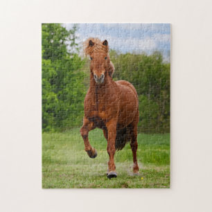 Icelandic Pony Runs Tölt Funny Photo Horse Lovers Puzzle