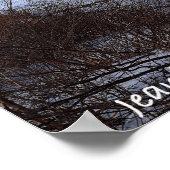 Icey Delaware Poster (Ecke)