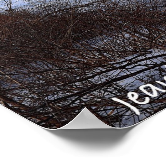 Icey Delaware Poster (Ecke)