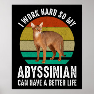 Ich arbeite hart, damit mein Abessinier ein besser Poster