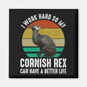 Ich arbeite hart, damit meine Cornish Rex ein bess Magnet