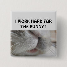 Ich arbeite hart für den Hase