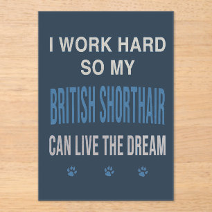 Ich arbeite hart für meine Britisch Kurzhaar Acryleinladungen