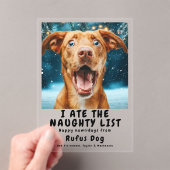 Ich aß das schmutzige Weihnachtsgebäck auf der Lis Acryleinladungen (Insitu (Handheld))