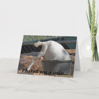 Ich backte Sie ein Kuchen… Geburtstags-Karte Karte