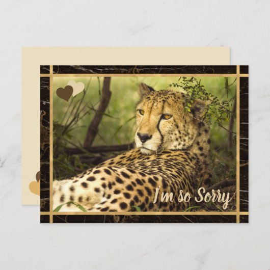 Ich bedaure, Cheetah Image Postkarte (Vorne/Hinten)