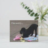 Ich bedaure Postkarte, Poodle Postkarte, Hundepost Postkarte (Stehend Vorderseite)