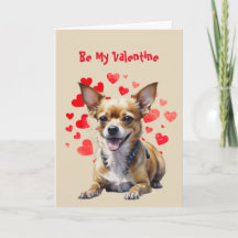 Ich belle dich lieb Süßer Chihuahua Hund Valentins