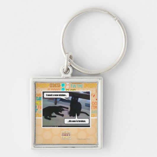 Ich benötige einen neuen Günstling Schlüsselanhänger (Vorne)