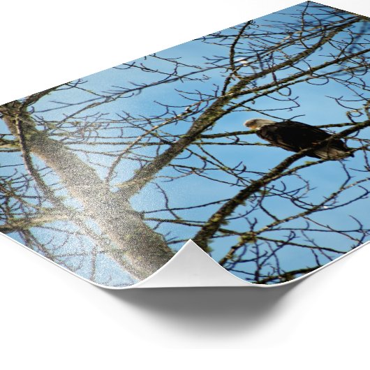 Ich beobachte dich fotodruck (Ecke)