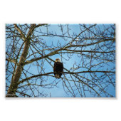 Ich beobachte dich fotodruck (Vorne)