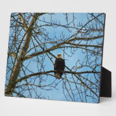 Ich beobachte dich fotoplatte (Seite)