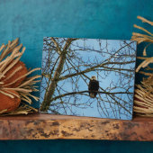 Ich beobachte dich fotoplatte (Seite)