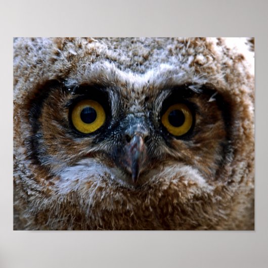 Ich beobachte dich poster (Vorne)