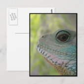 Ich beobachte dich - Postkarte (Vorne/Hinten)