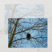 Ich beobachte dich postkarte (Vorne/Hinten)