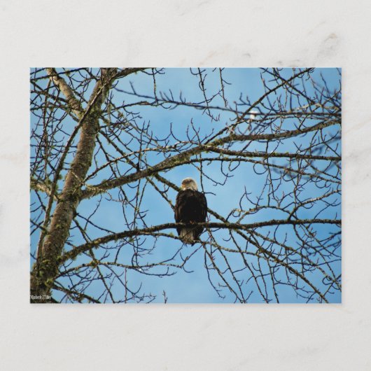 Ich beobachte dich postkarte (Vorderseite)