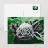 Ich beobachte dich postkarte (Vorne/Hinten)