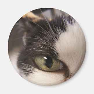 Ich beobachte magnet