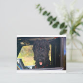 Ich besitze diesen Jeep Postkarte (Stehend Vorderseite)