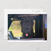 Ich besitze diesen Jeep Postkarte (Vorne/Hinten)