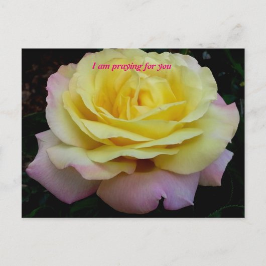 Ich bete für dich postkarte (Vorderseite)