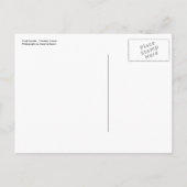 Ich bewegte mich! ankündigungspostkarte (Rückseite)