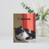 Ich bewegte Niedliche Tuxedo Cat Talk Foto Postkar Postkarte (Stehend Vorderseite)