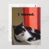 Ich bewegte Niedliche Tuxedo Cat Talk Foto Postkar Postkarte (Vorne/Hinten)