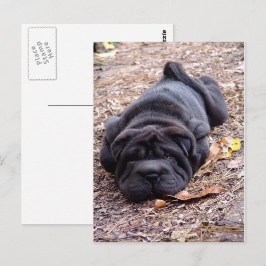 Ich bin alle gespielt! postkarte (Vorne/Hinten)