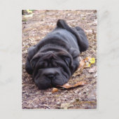 Ich bin alle gespielt! postkarte (Vorderseite)