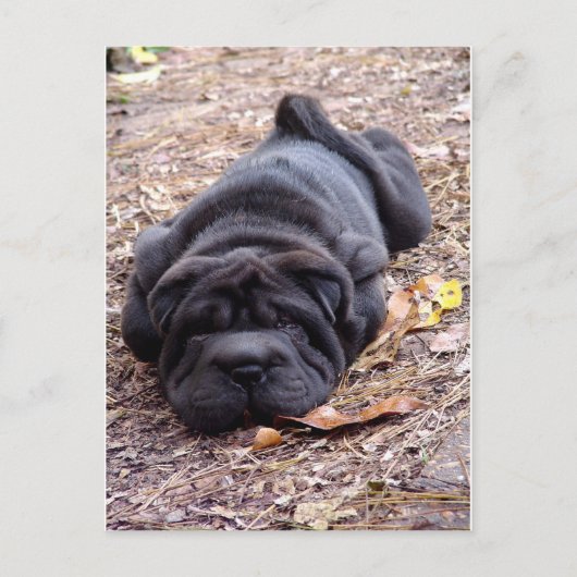 Ich bin alle gespielt! postkarte (Vorderseite)