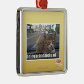 Ich bin an unserem Bindestrich Silbernes Ornament (Rechts)