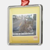 Ich bin an unserem Bindestrich Silbernes Ornament (Links)