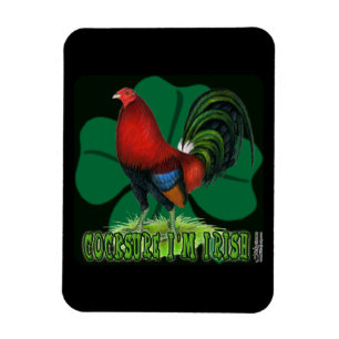 Ich bin auch irisch. magnet