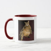 Ich bin auf dieser dummen Karte Tasse (Links)