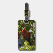 "Ich bin auf einem Lehua-Blossom Gepäckanhänger (Vorderseite vertikal)