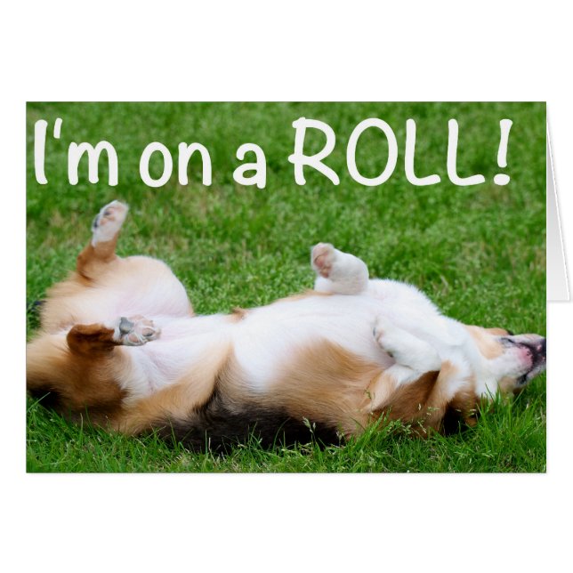 Ich bin auf einem ROLL! (Vorderseite (Horizontal))