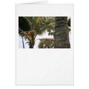 Ich bin auf Island Time!