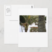 Ich bin auf Island Time! Postkarte (Vorne/Hinten)