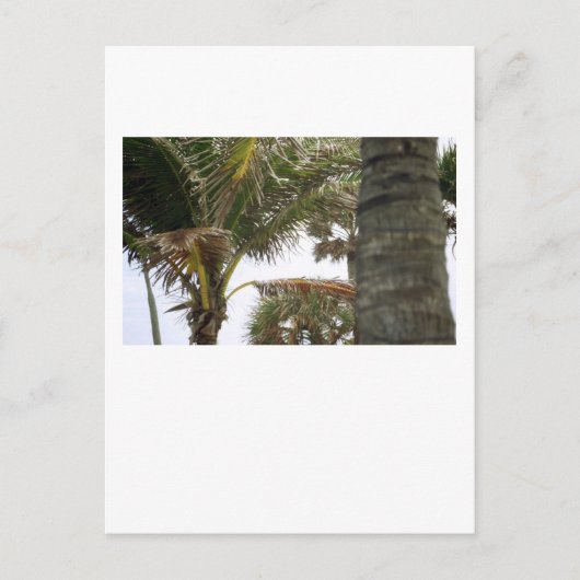 Ich bin auf Island Time! Postkarte (Vorderseite)