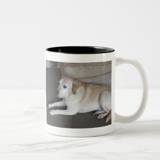 Ich bin BaileyThe PhilosopherI'm… Zweifarbige Tasse (Rechts)