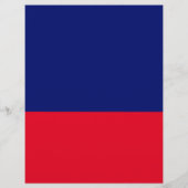 Ich bin bei Joe! Amerikanische Präsidentschaftswah Flyer (Hinten)