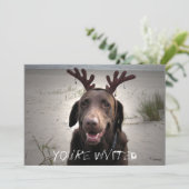 Ich bin bereit einladung (Stehend Vorderseite)