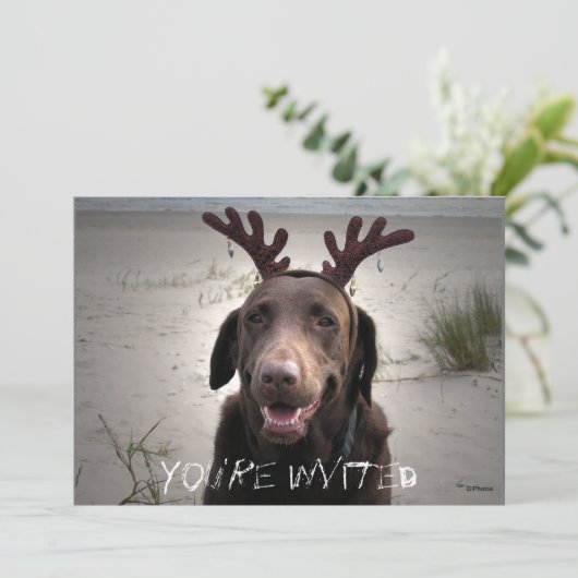 Ich bin bereit einladung (Stehend Vorderseite)