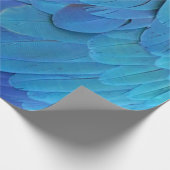 Ich bin blau - Papageienfedern nah Geschenkpapier (Ecke)