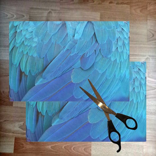 Ich bin blau - Papageienfedern nah Seidenpapier